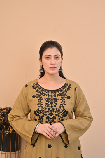 2 Pc Embroidered stitched | Olive Brown